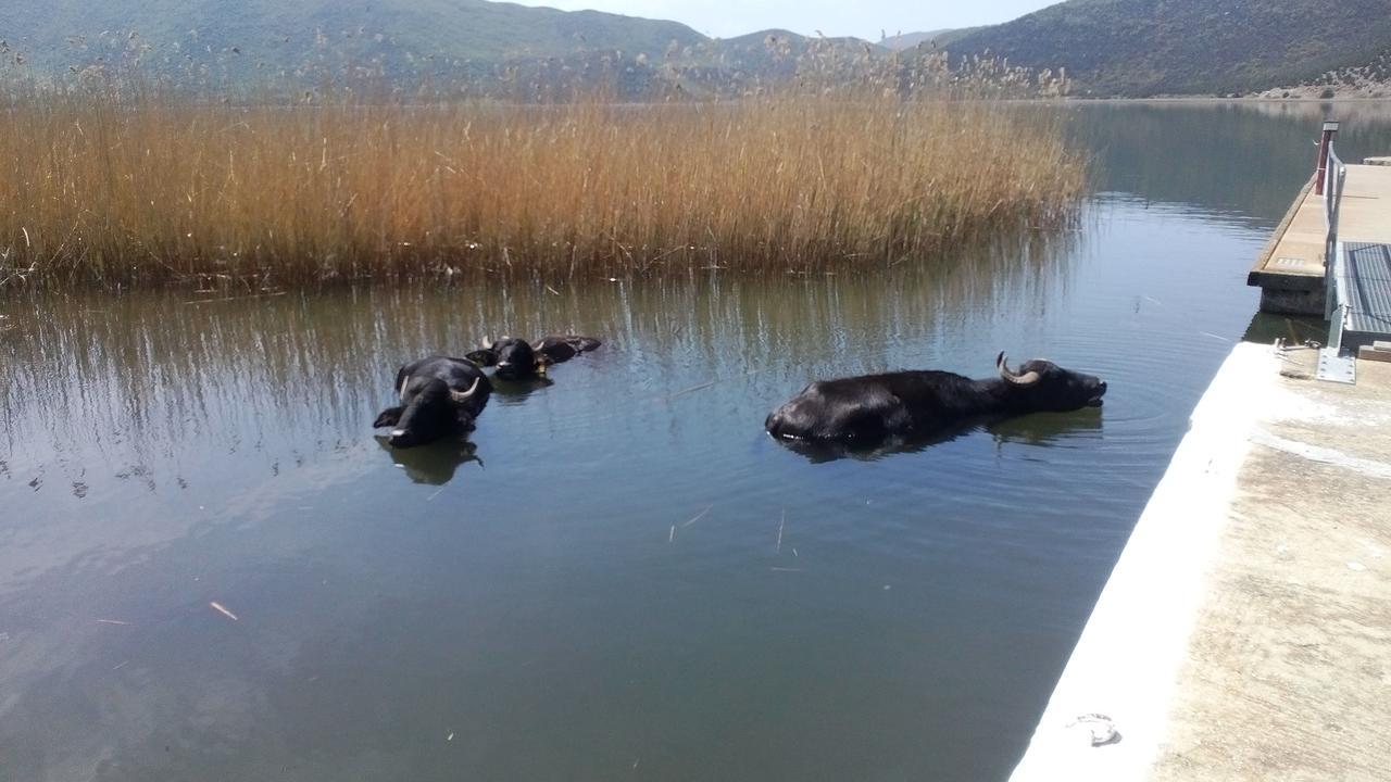 Agios Achillios * Agios Achillios